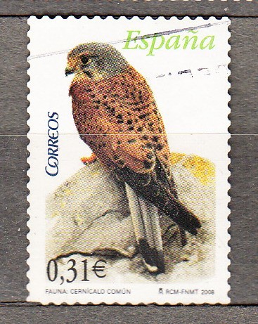 4377 Cernícalo (632)