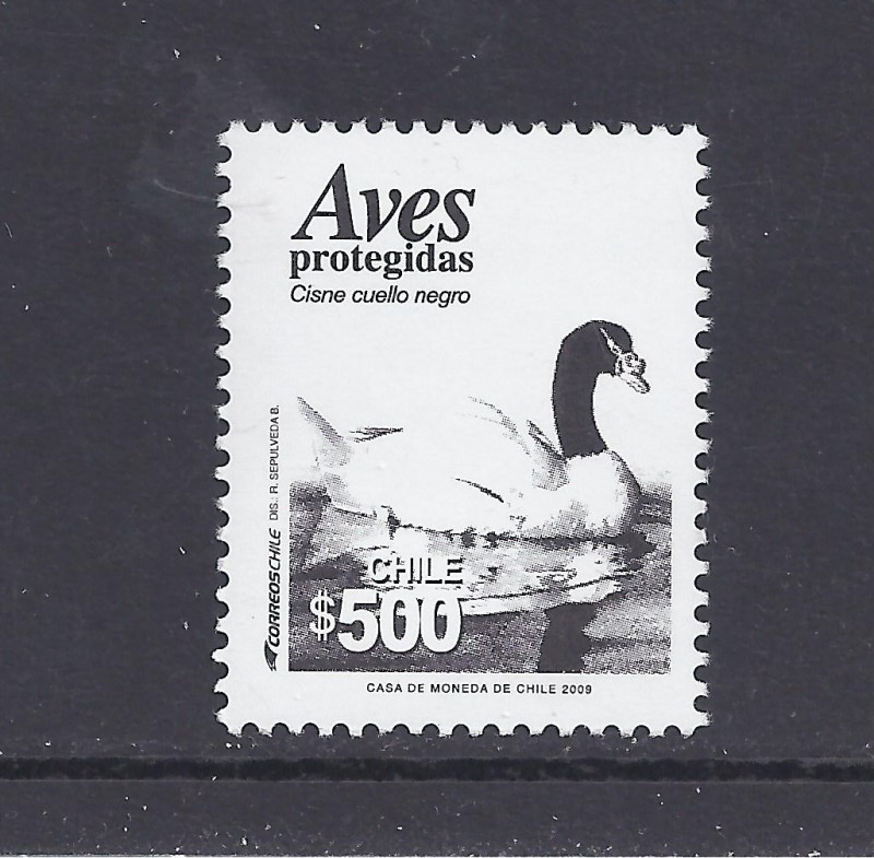 aves protegidas