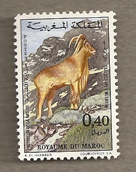 Muflón