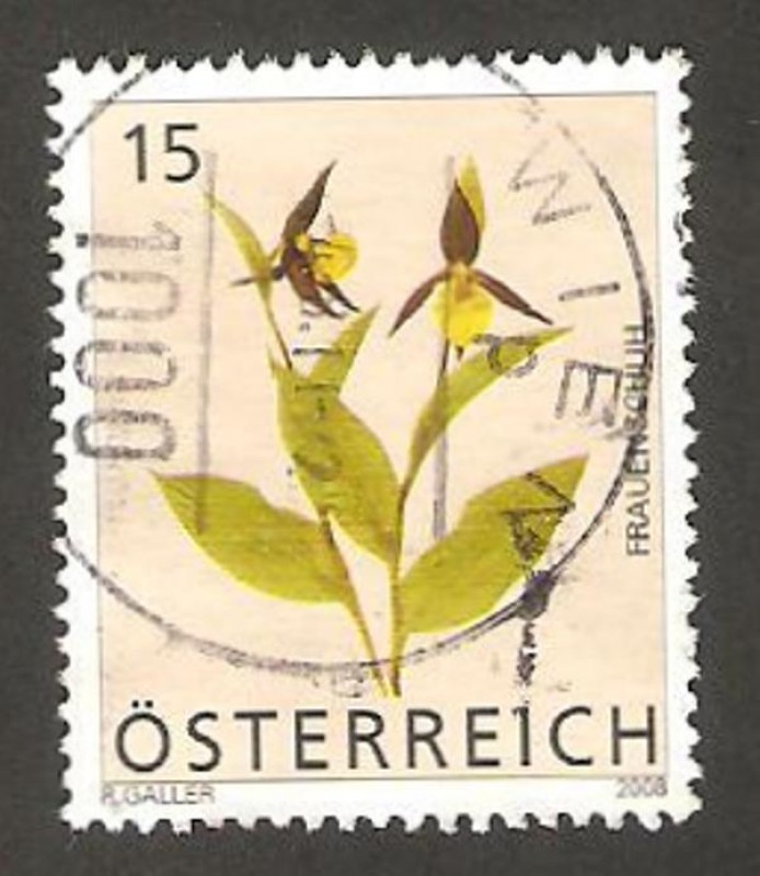  2524 - flor orquídea