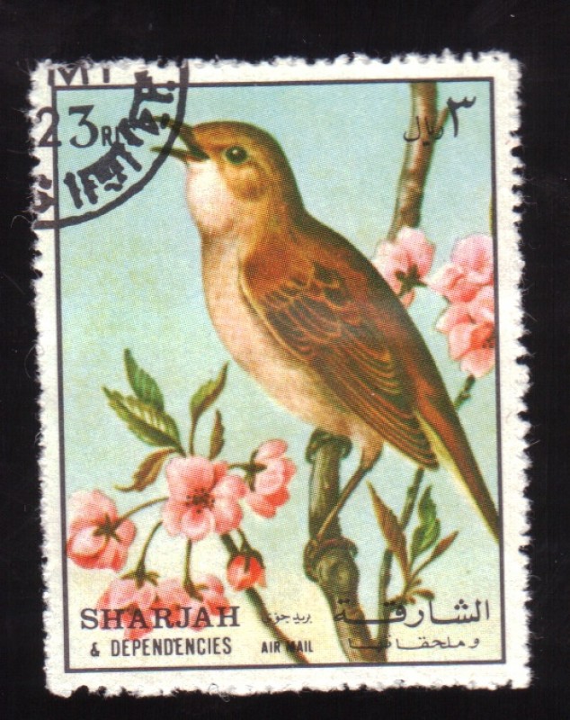 serie- Aves