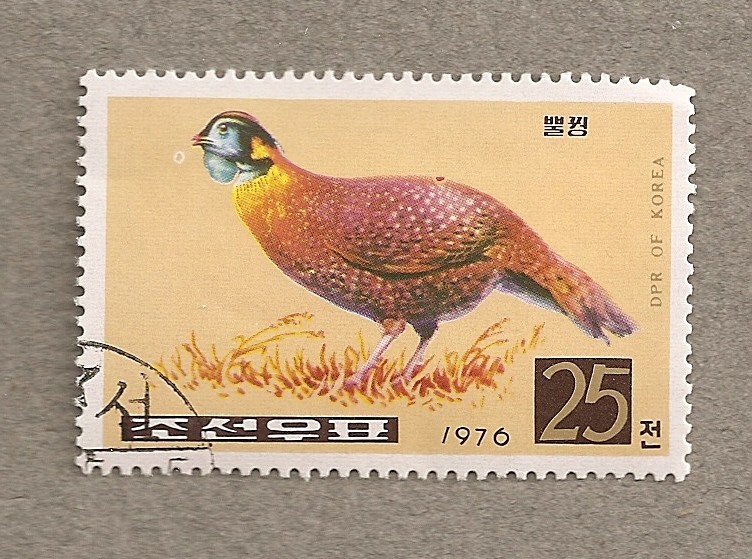 Pavo real