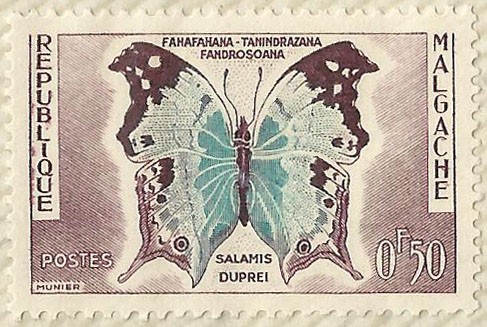 SALAMIS DUPREI