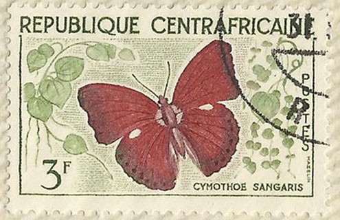 CYMOTHOE SANGARIS