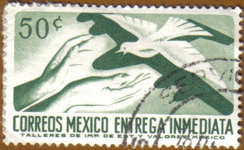 Manos y Paloma