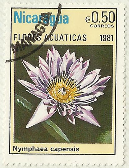 FLORES ACUATICAS