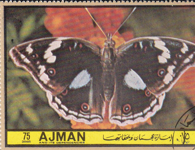 AJMAN -Mariposas