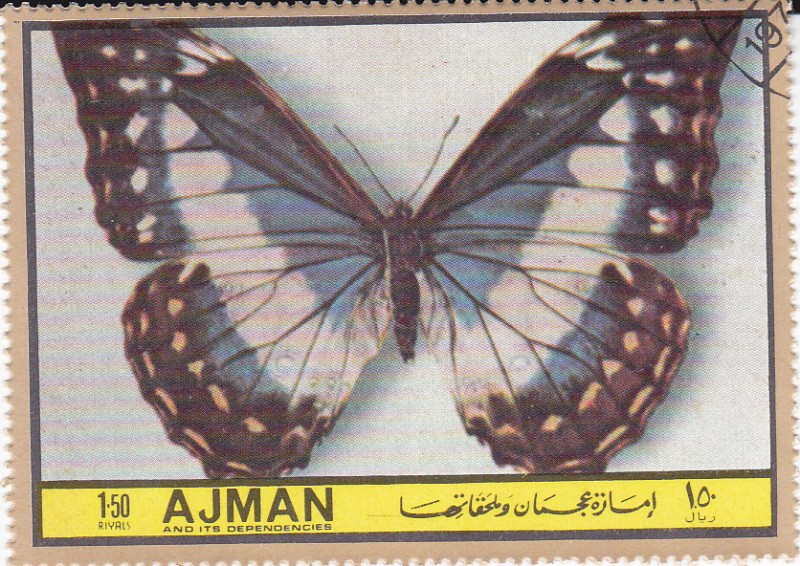AJMAN -Mariposas