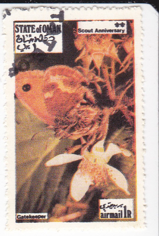 Mariposas - Gatekeeper