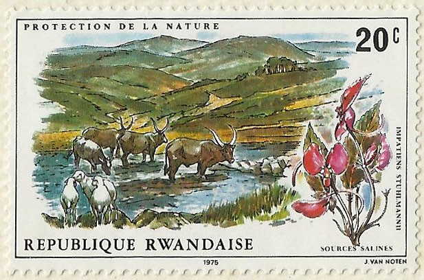 PROTECCION DE LA NATURALEZA 