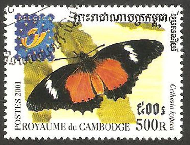  Mariposa