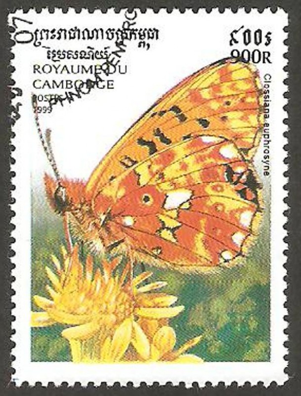  Mariposa