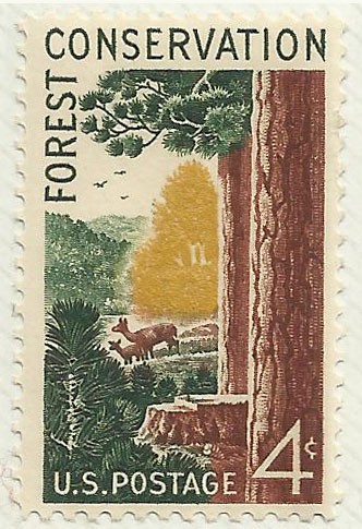 CONSERVACION DE LOS BOSQUES