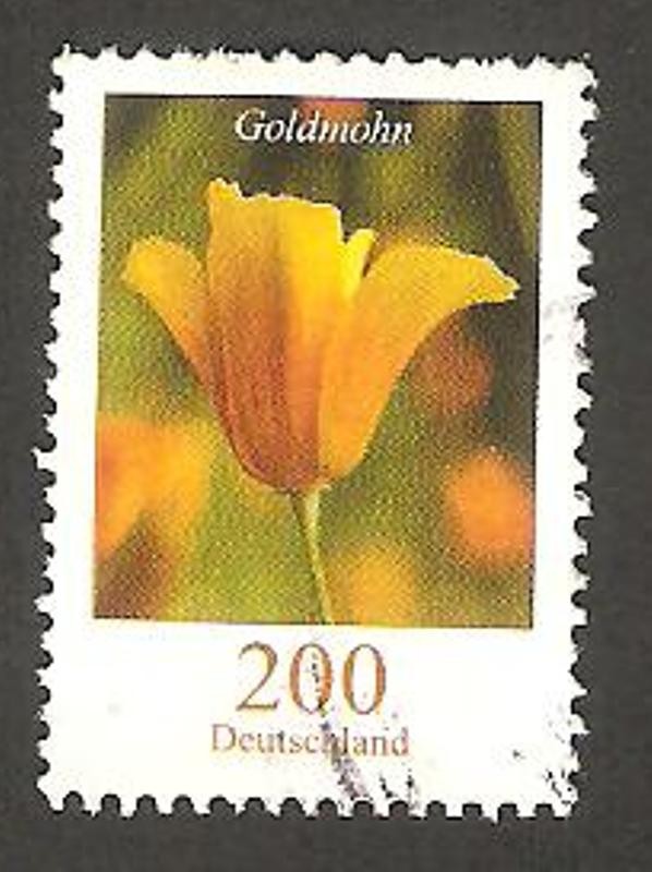 2393 - Flor amapola de California