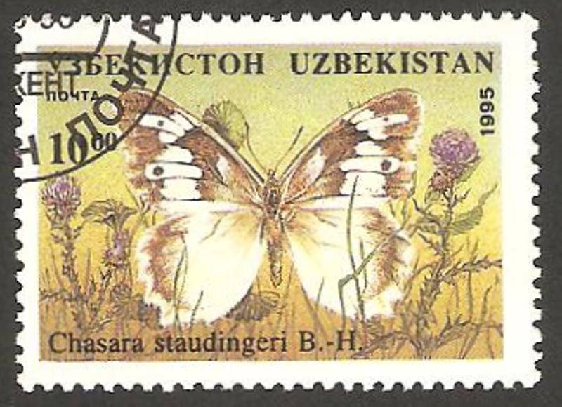 Mariposa
