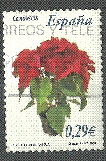 Flor pascua