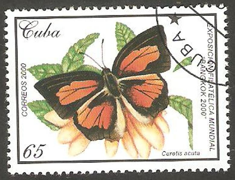 Mariposa