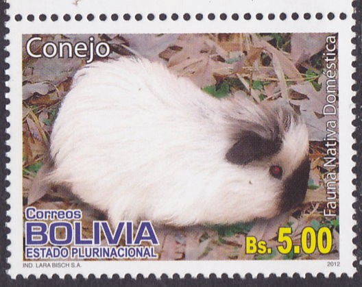 Fauna Nativa Domestica