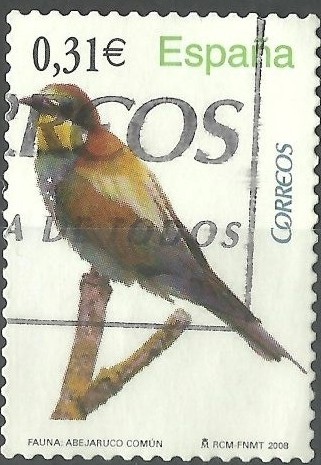 Abejaruco común