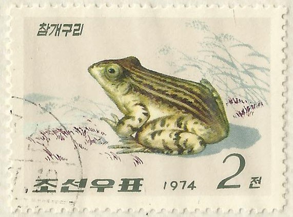 SAPO