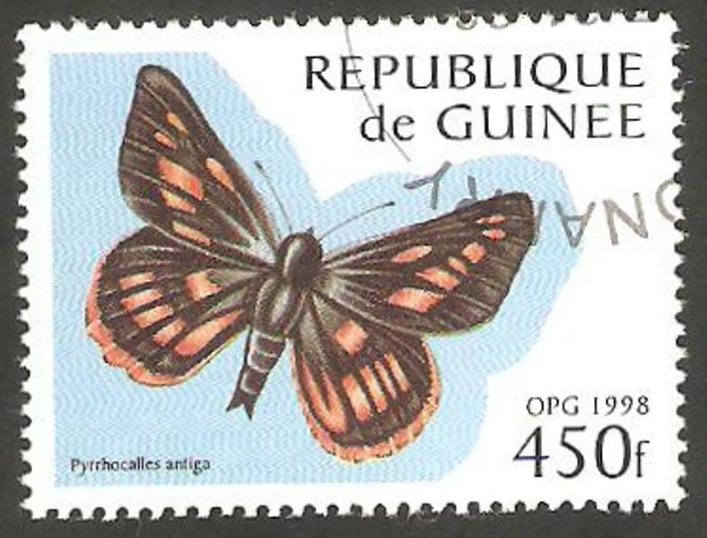 Mariposa