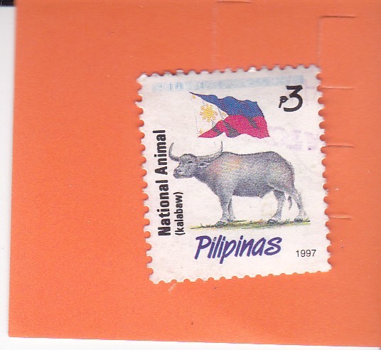 Bandera Nacional - y (Kalabaw)