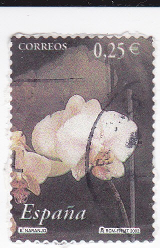 Flora-     (k)