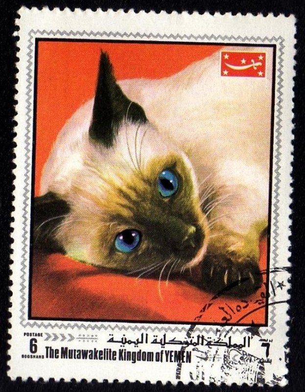 GATO