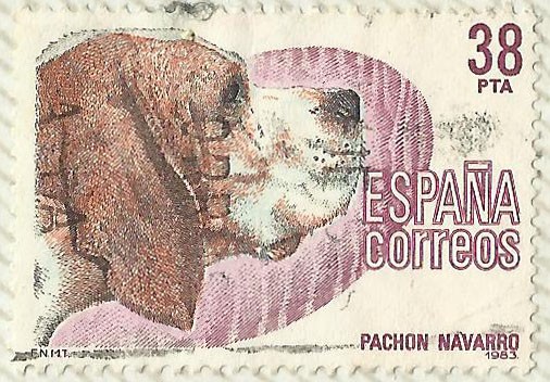 PACHON NAVARRO