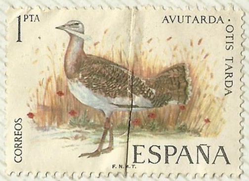 AVUTARDA