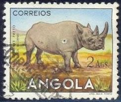 Rinoceronte