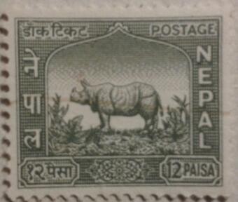 postage rinoceronte 