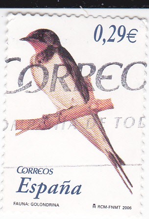 Fauna:   Golondrina                              (L)