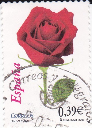 Flora-Rosa    (L)
