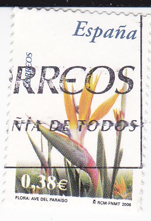 Flora- Ave del Paraíso    (L)