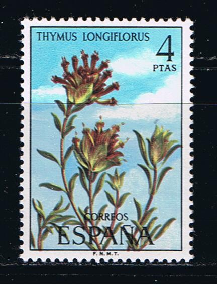Edifil  2222  Flora.   