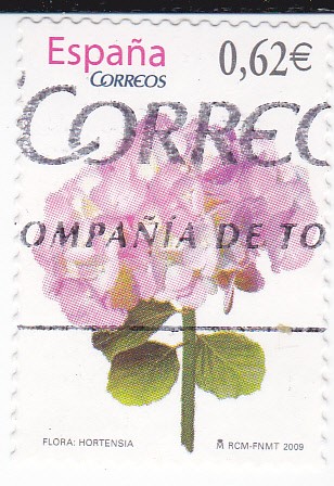 Flora- Hortensia    (L)
