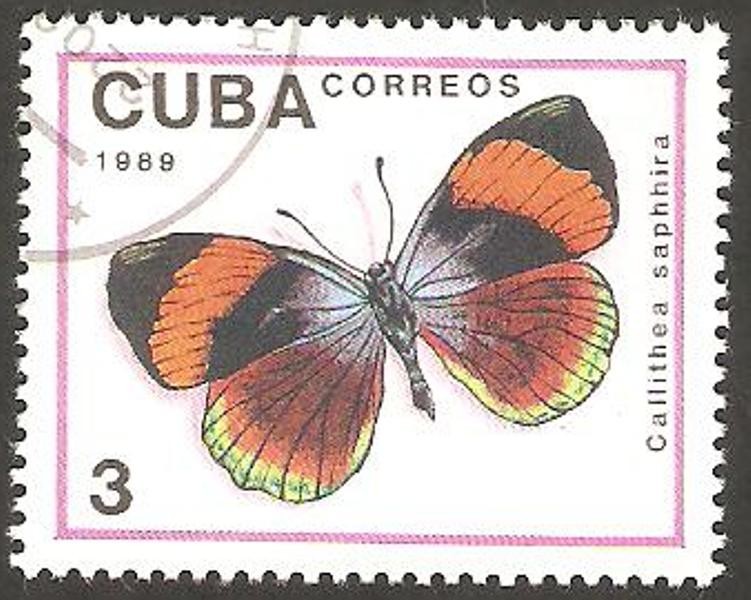 Mariposa