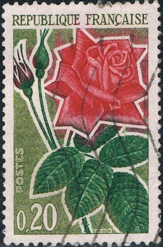 ROSAS. ROSA MODERNA. Y&T Nº 1356