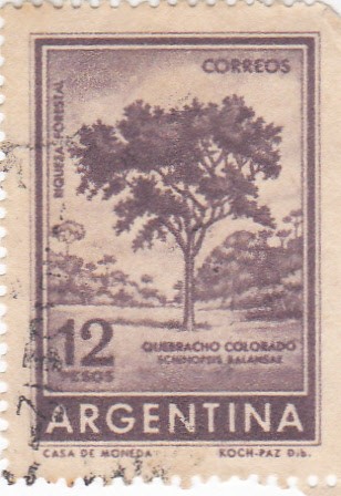 Riqueza Forestal- Quebracho Colorado