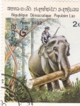 ELEFANTE TRANSPORTANDO UN TRONCO