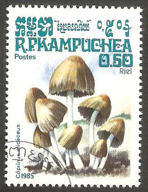 Kampuchea - Champiñón