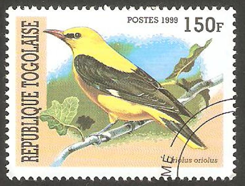 Pájaro