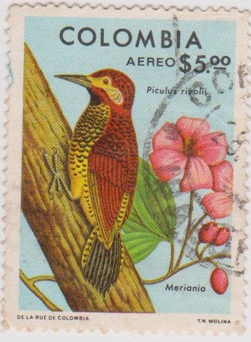 AVES DE COLOMBIA