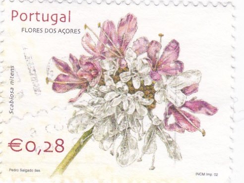 FLORES DE LAS AÇORES