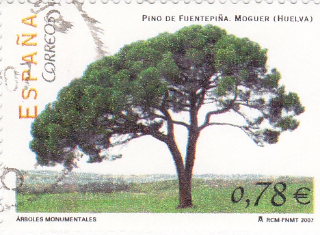 Arboles Monumentales    (P)