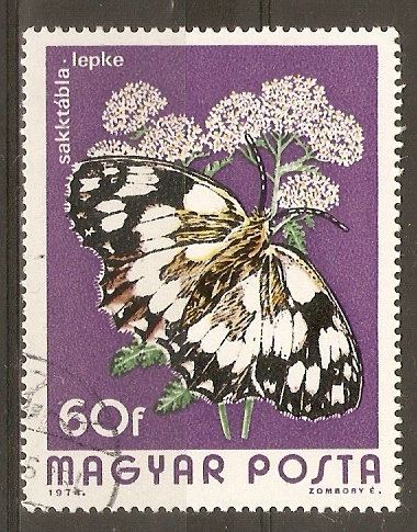 MELANARGIA  GALATHEA