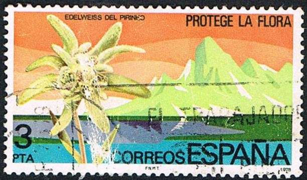PROTEGE LA FLORA