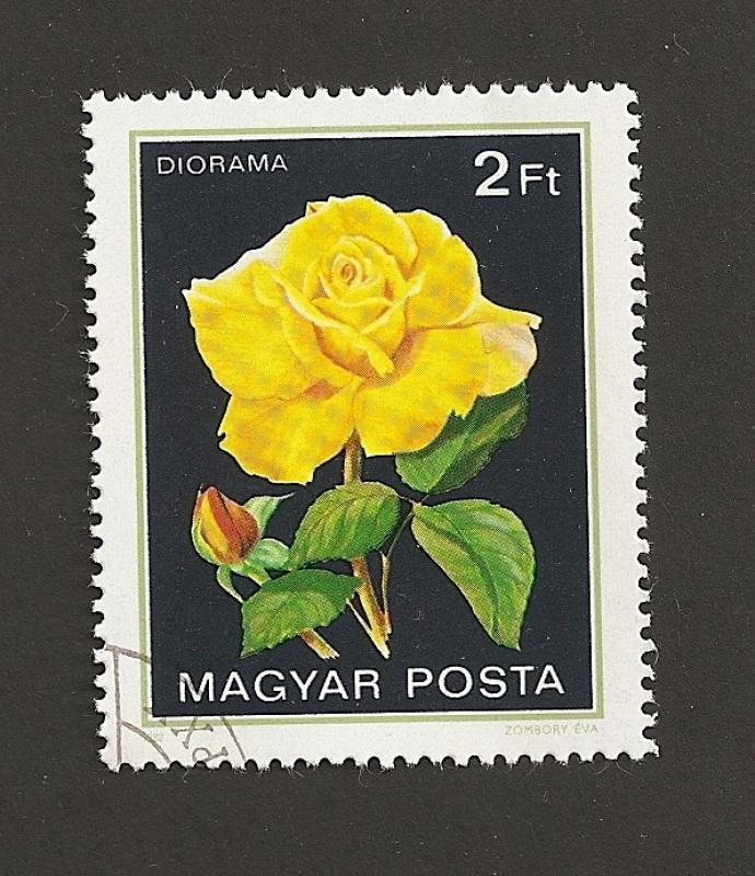 Rosas