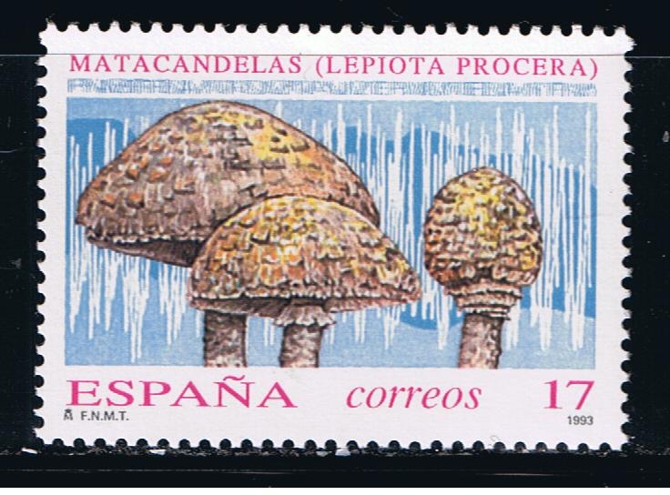 Edifil  3244  Micología.  